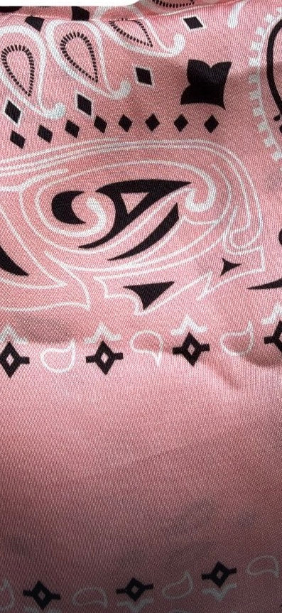 Pink Bandana skirt set